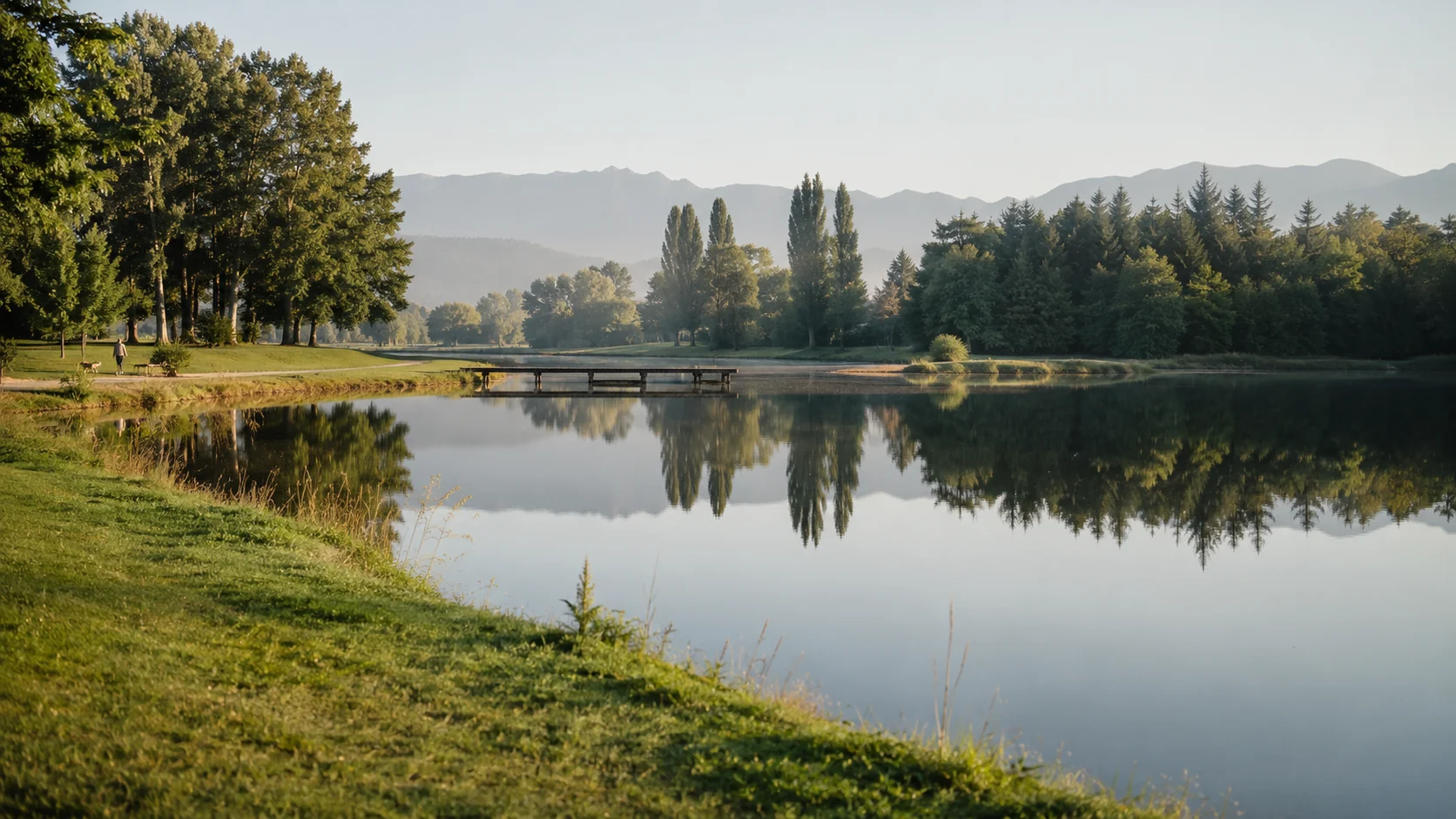 Trout Lake